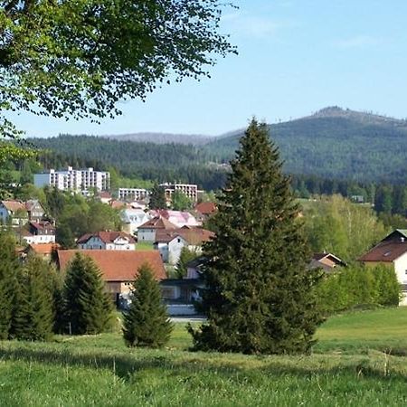 אפרטהוטל Haidmühle Haus Hochstein מראה חיצוני תמונה