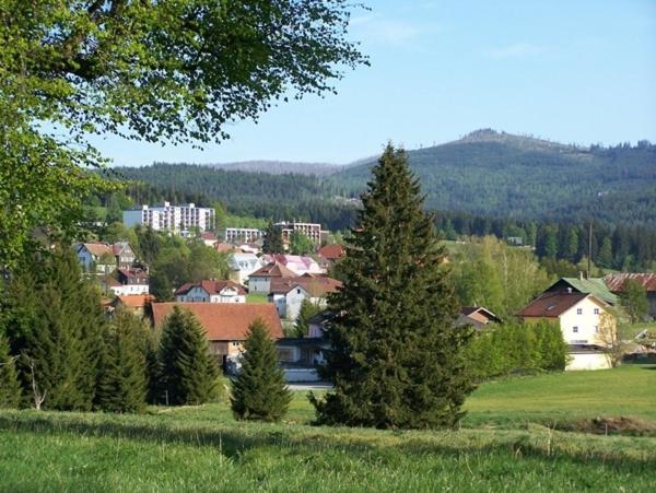 אפרטהוטל Haidmühle Haus Hochstein מראה חיצוני תמונה